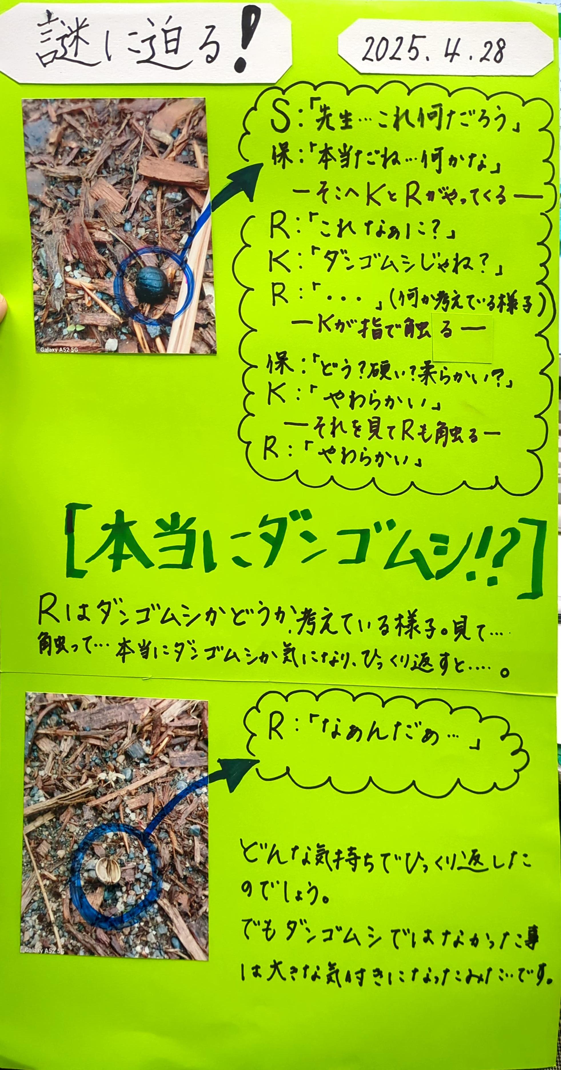 《謎に迫る!本当にダンゴムシ?》